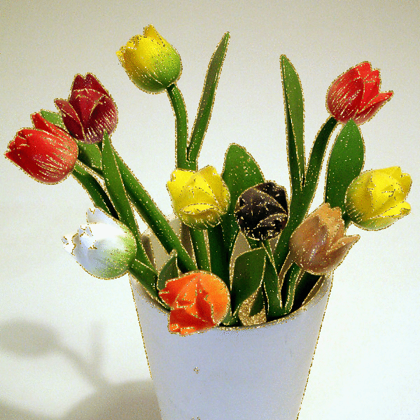 tulipe14